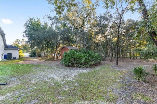 2843 W Elm Blossom St, Beverly Hills, FL 34465 - view of yard featuring a storage unit