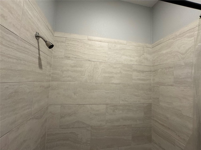 interior details with tiled shower