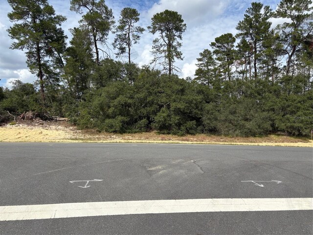 0 SW 176th Lane Rd, Ocala FL, 34473 land for sale