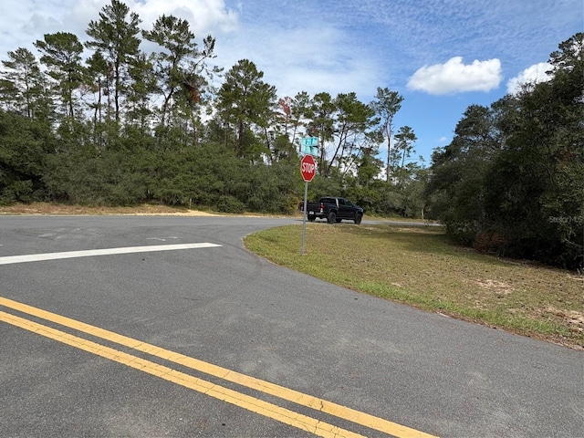 0 SW 176th Lane Rd, Ocala, FL 34473 - photo 2