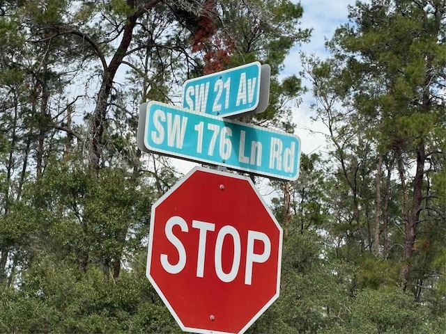 0 SW 176th Lane Rd, Ocala, FL 34473 - photo 3