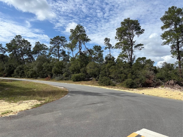 0 SW 176th Lane Rd, Ocala, FL 34473 - photo 4