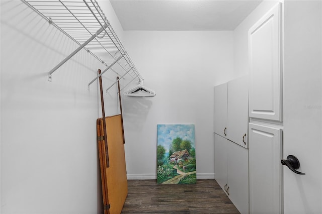 spacious closet featuring dark wood-type flooring