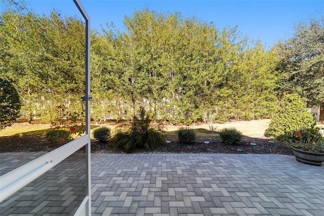 8706 SW 88th Pl, Ocala, FL 34481 - view of patio