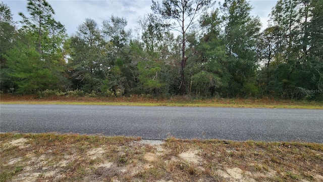 790 W Abner Pl, Dunnellon FL, 34434 land for sale