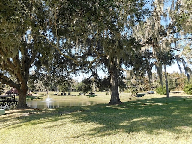 view of yard featuring a water view