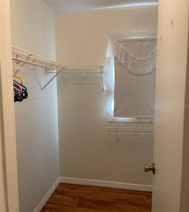 spacious closet with dark wood-type flooring