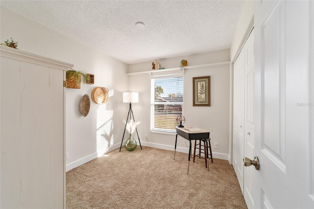 miscellaneous room featuring light carpet and a textured ceiling