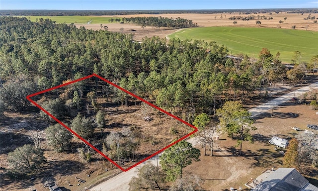 14076 4th St, Williston FL, 32696 land for sale