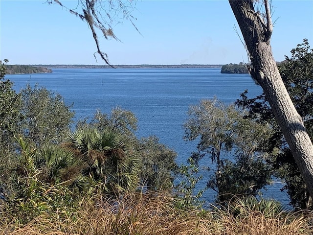 15991 NE 243rd Place Rd Unit 350, Fort Mc Coy, FL 32134 - photo 29