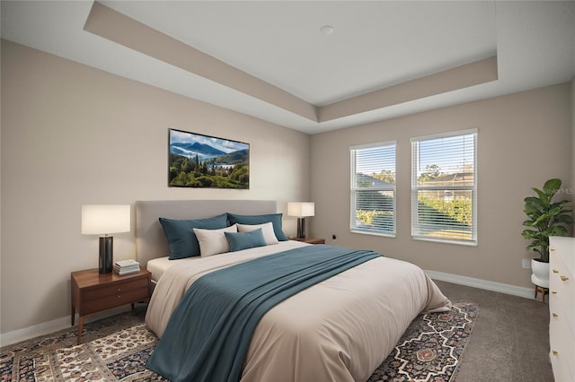 carpeted bedroom with a raised ceiling