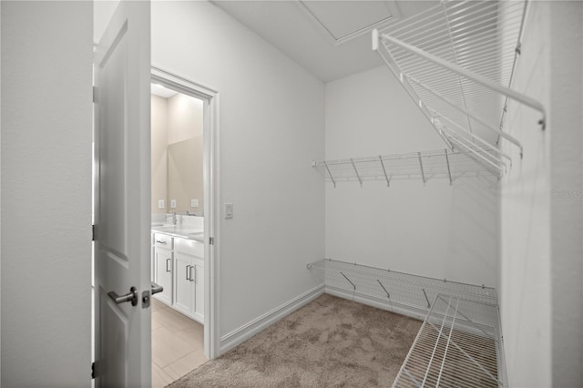 walk in closet with light carpet