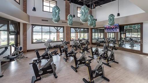 gym featuring a high ceiling, a healthy amount of sunlight, and wood-type flooring