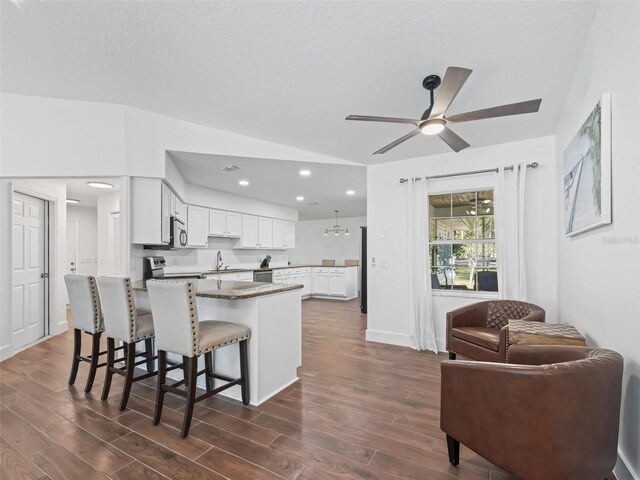 kitchen featuring dark wood finished floors, open floor plan, a peninsula, and stainless steel appliances