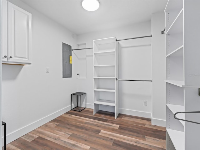 walk in closet featuring electric panel and dark wood-type flooring