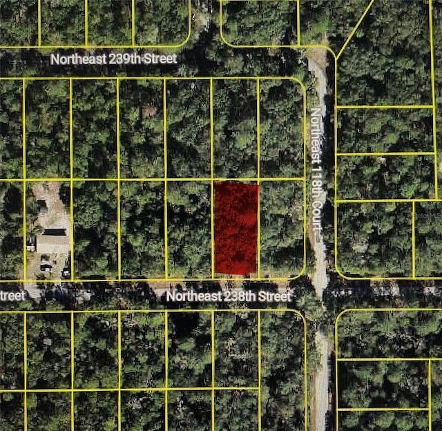 TBD NE 238th St, Fort Mc Coy FL, 32134 land for sale