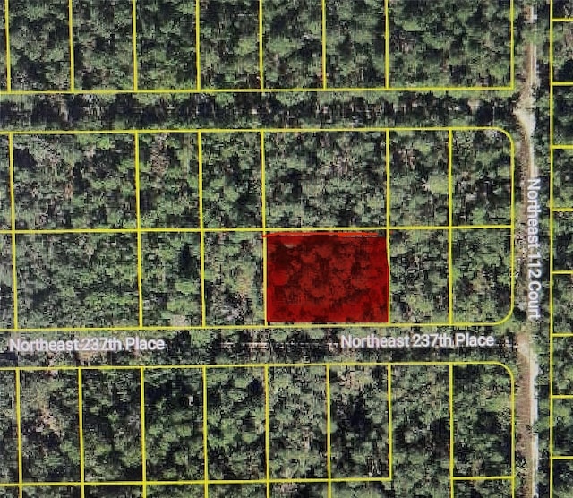 TBD NE 237th Pl, Fort Mc Coy FL, 32134 land for sale