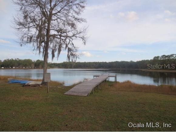 dock area with a water view and a lawn