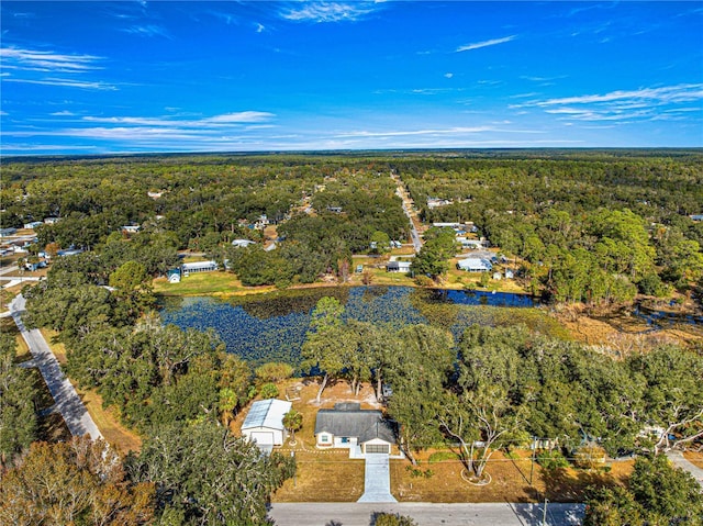17757 SE 28th Ln, Silver Springs, FL 34488 - photo 47