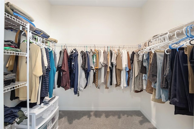 spacious closet featuring carpet floors