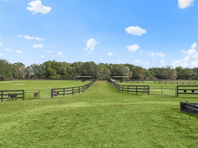 surrounding community featuring a rural view and a yard