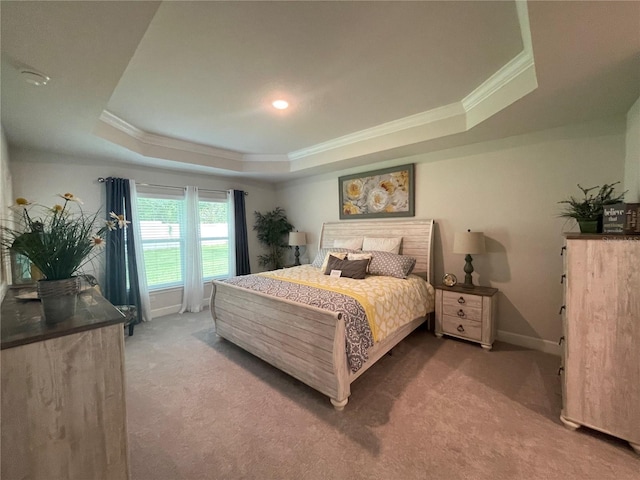 bedroom with carpet flooring and a tray ceiling