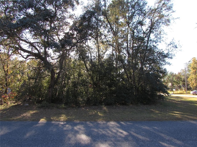 60 W Navarro Pl, Citrus Springs FL, 34434 land for sale