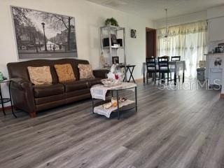 living room featuring dark wood-type flooring