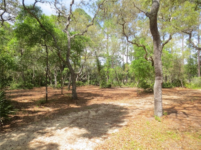 Listing photo 3 for 17528 SE 10th St, Silver Springs FL 34488