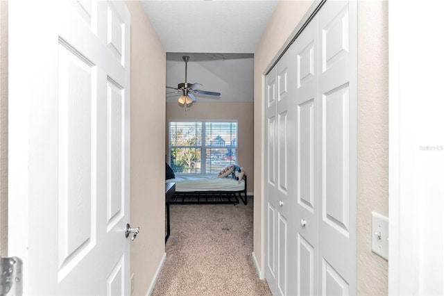 corridor with light colored carpet