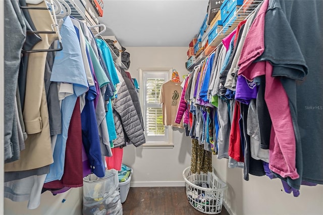 walk in closet with dark hardwood / wood-style floors