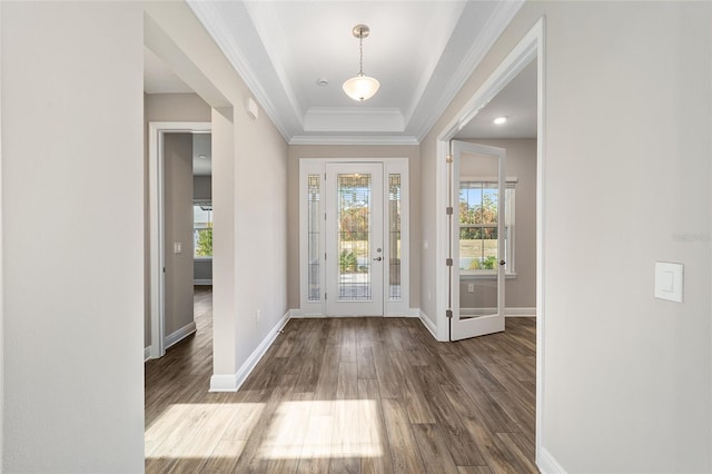 entrance foyer featuring hardwood / wood-style flooring, a raised ceiling, and ornamental molding