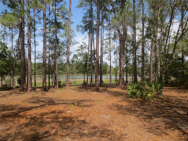 Listing photo 3 for 0 SE 10th St, Silver Springs FL 34488