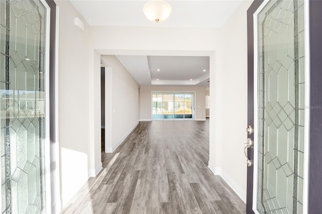 foyer entrance featuring wood-type flooring