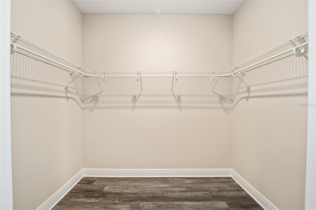 spacious closet featuring dark hardwood / wood-style floors