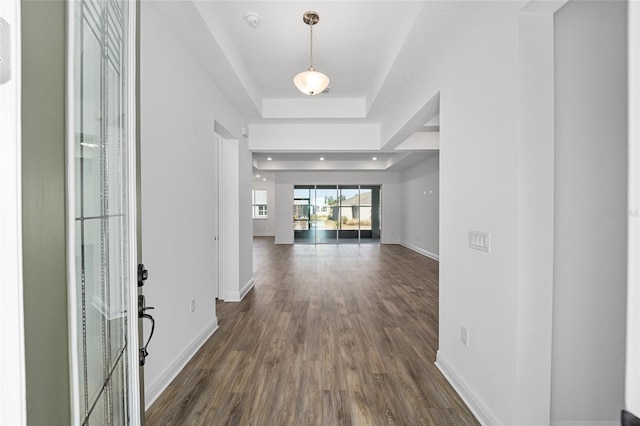 foyer entrance with a raised ceiling and dark wood-type flooring