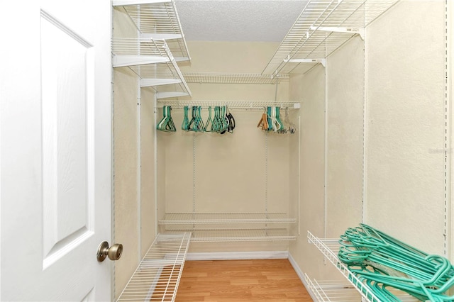 spacious closet with wood-type flooring