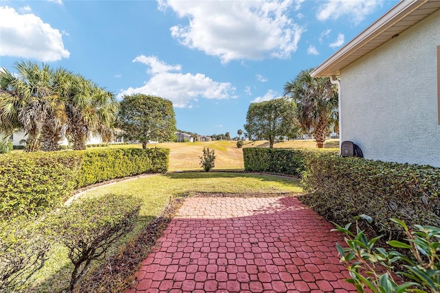 view of yard with a patio area