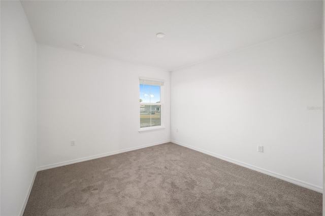 empty room featuring carpet