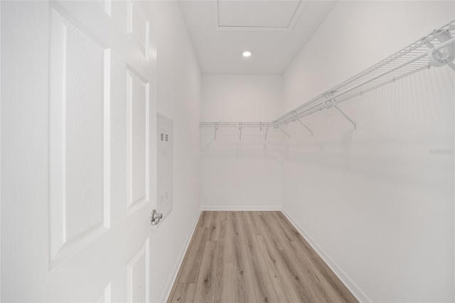 walk in closet featuring light hardwood / wood-style floors