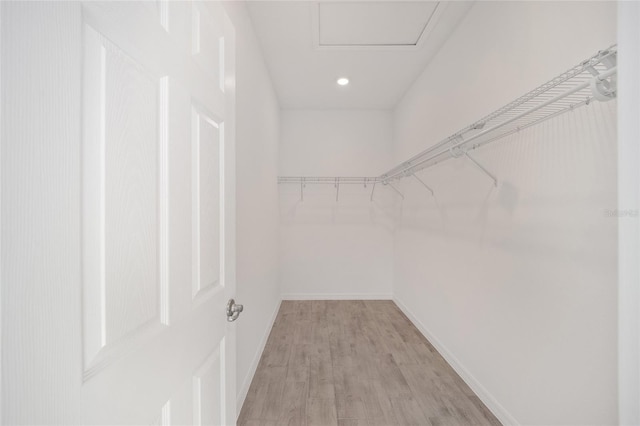 spacious closet with light hardwood / wood-style flooring