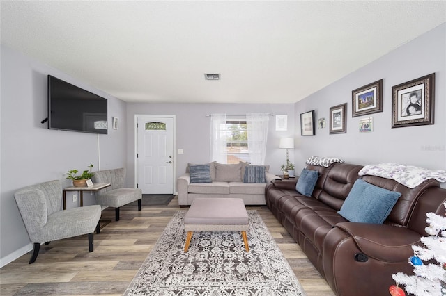 living room with light hardwood / wood-style flooring