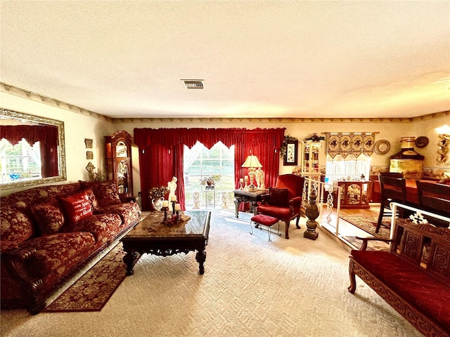 carpeted living room with a textured ceiling