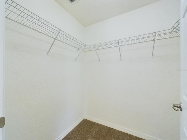 spacious closet with carpet