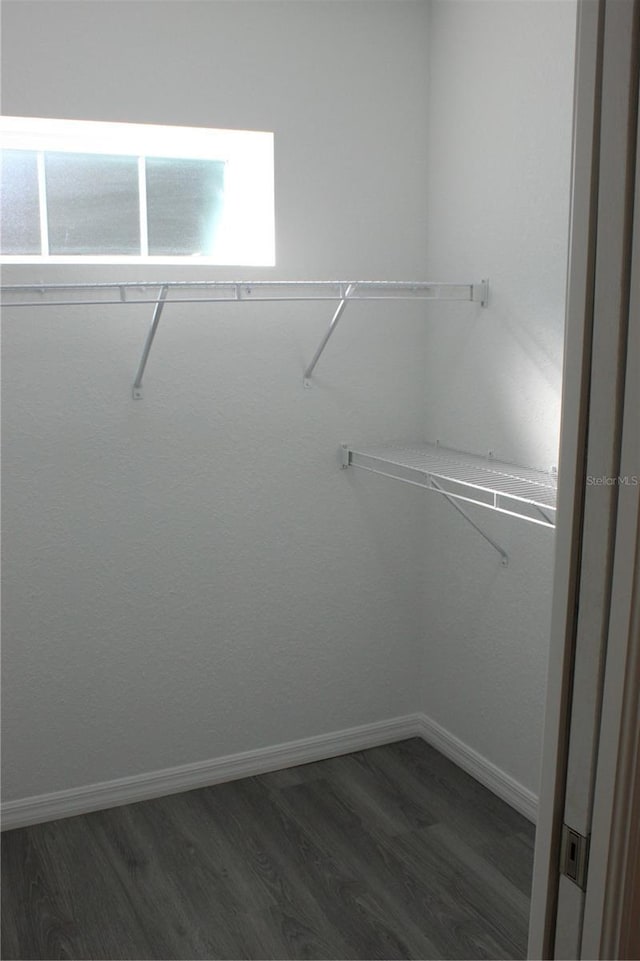 walk in closet featuring dark wood-type flooring