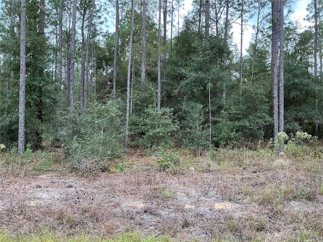 SW 29th St, Ocala FL, 34481 land for sale