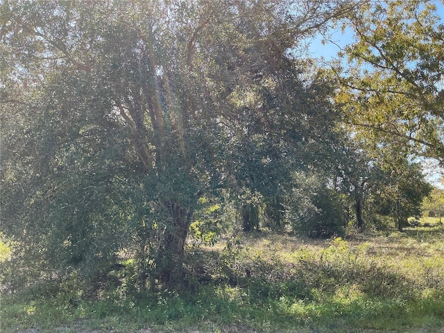 Se 112 Place, Ocklawaha FL, 32179 land for sale