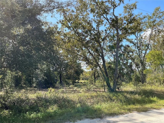 Listing photo 3 for Se 112 Place, Ocklawaha FL 32179