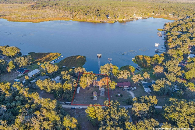 drone / aerial view with a water view