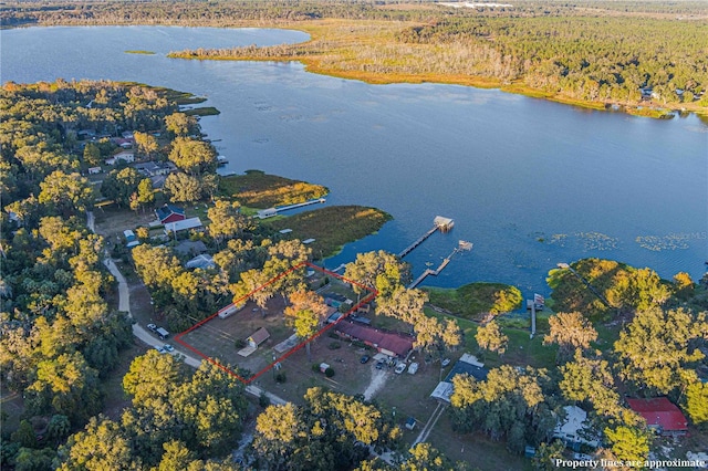 drone / aerial view featuring a water view